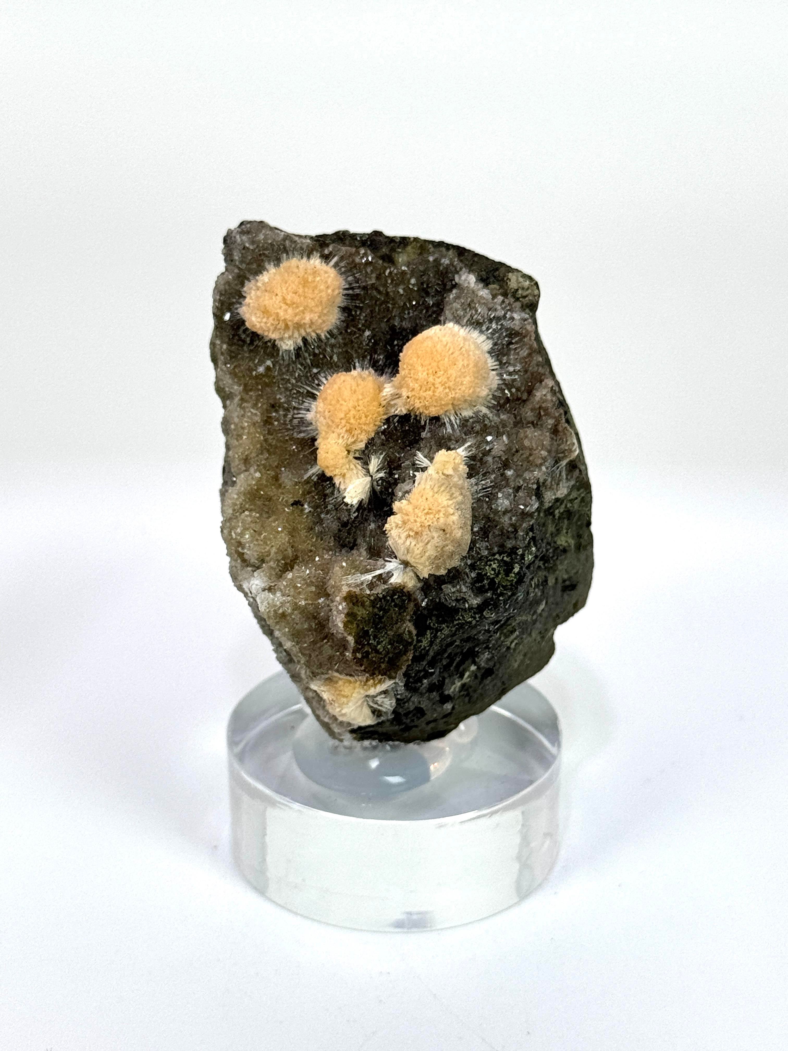 THOMSONITE 120 GR.