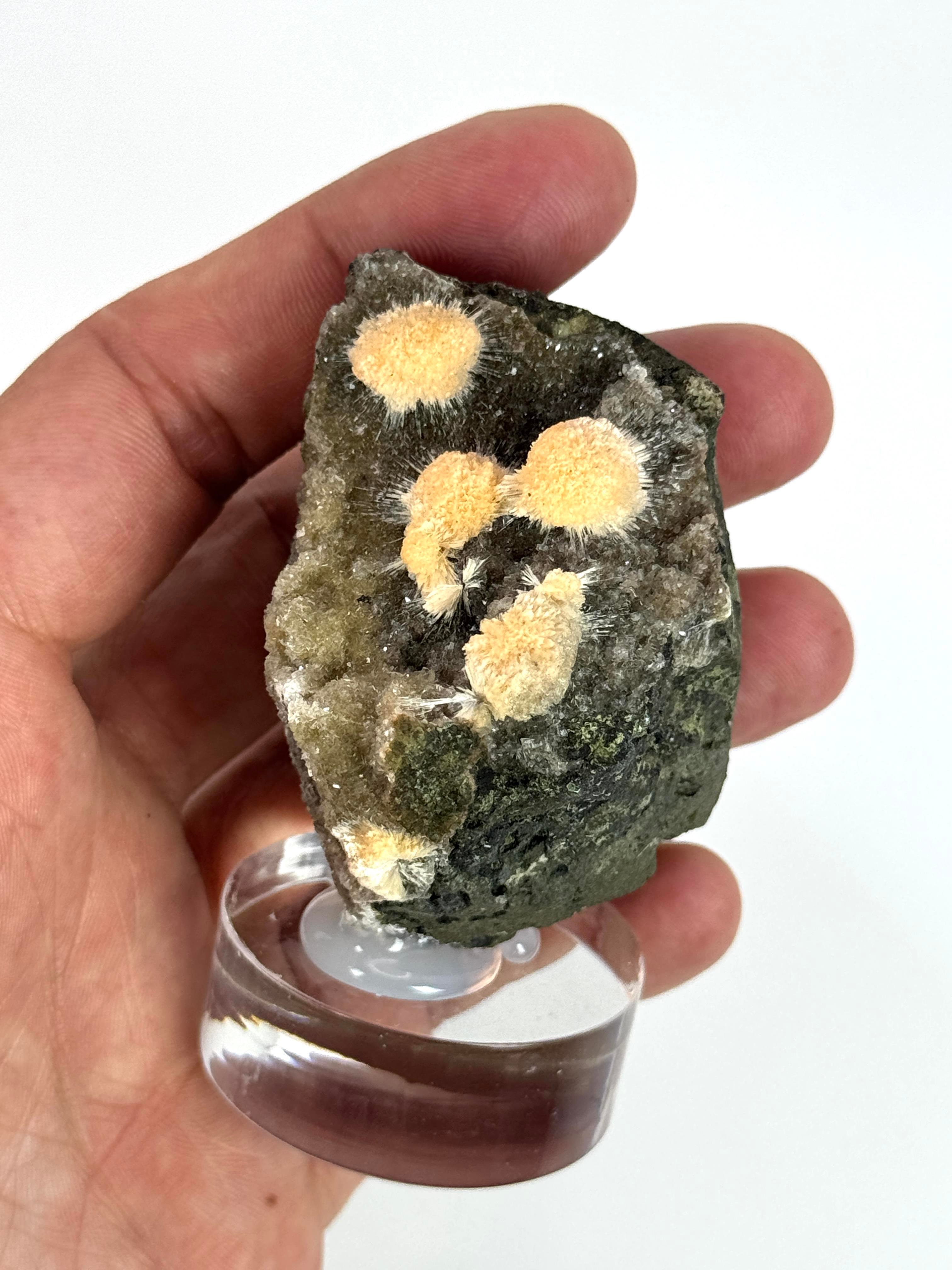THOMSONITE 120 GR.