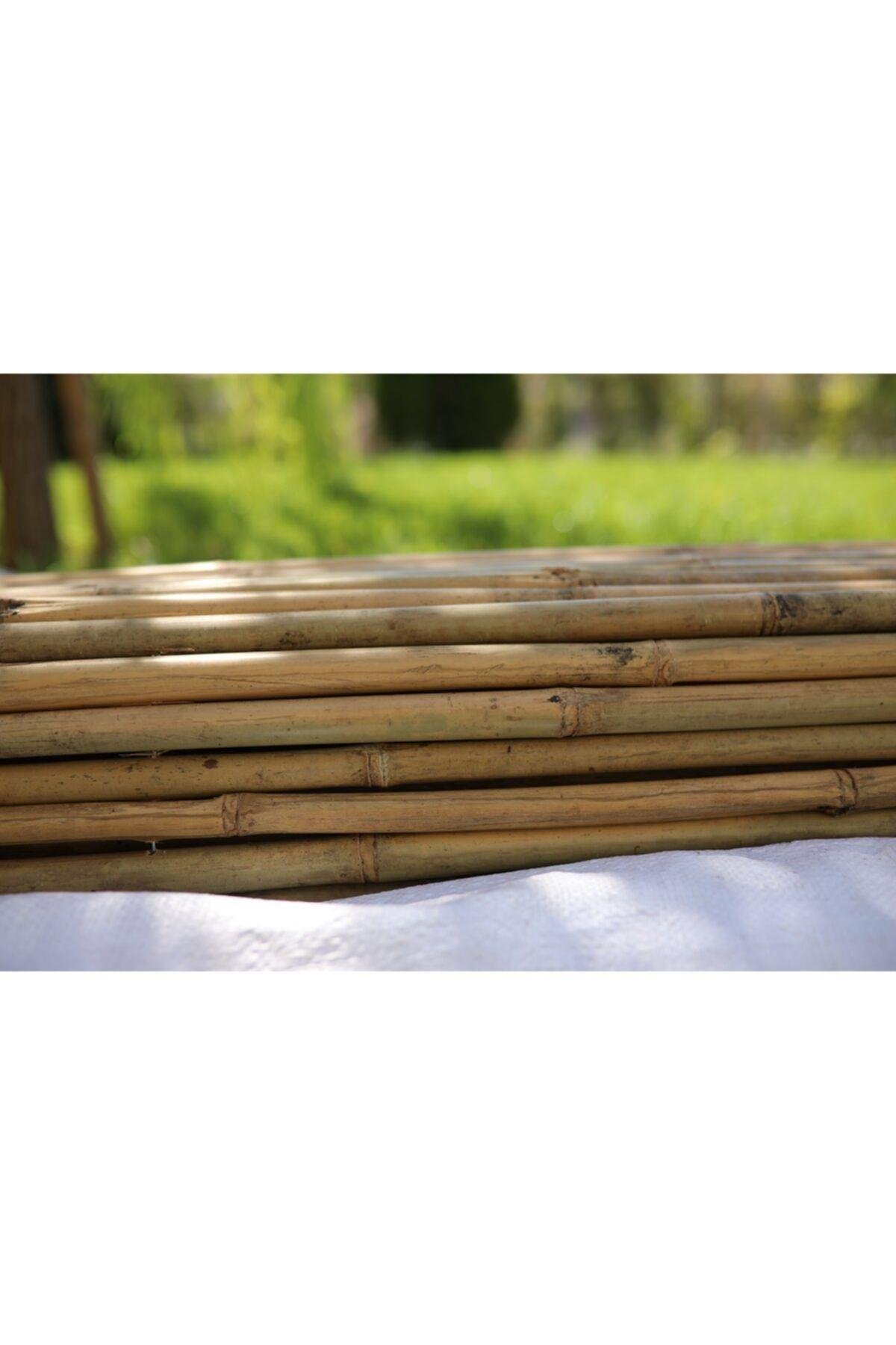 200 Cm X 200 Cm Gerçek Bambu Çit / Paravan