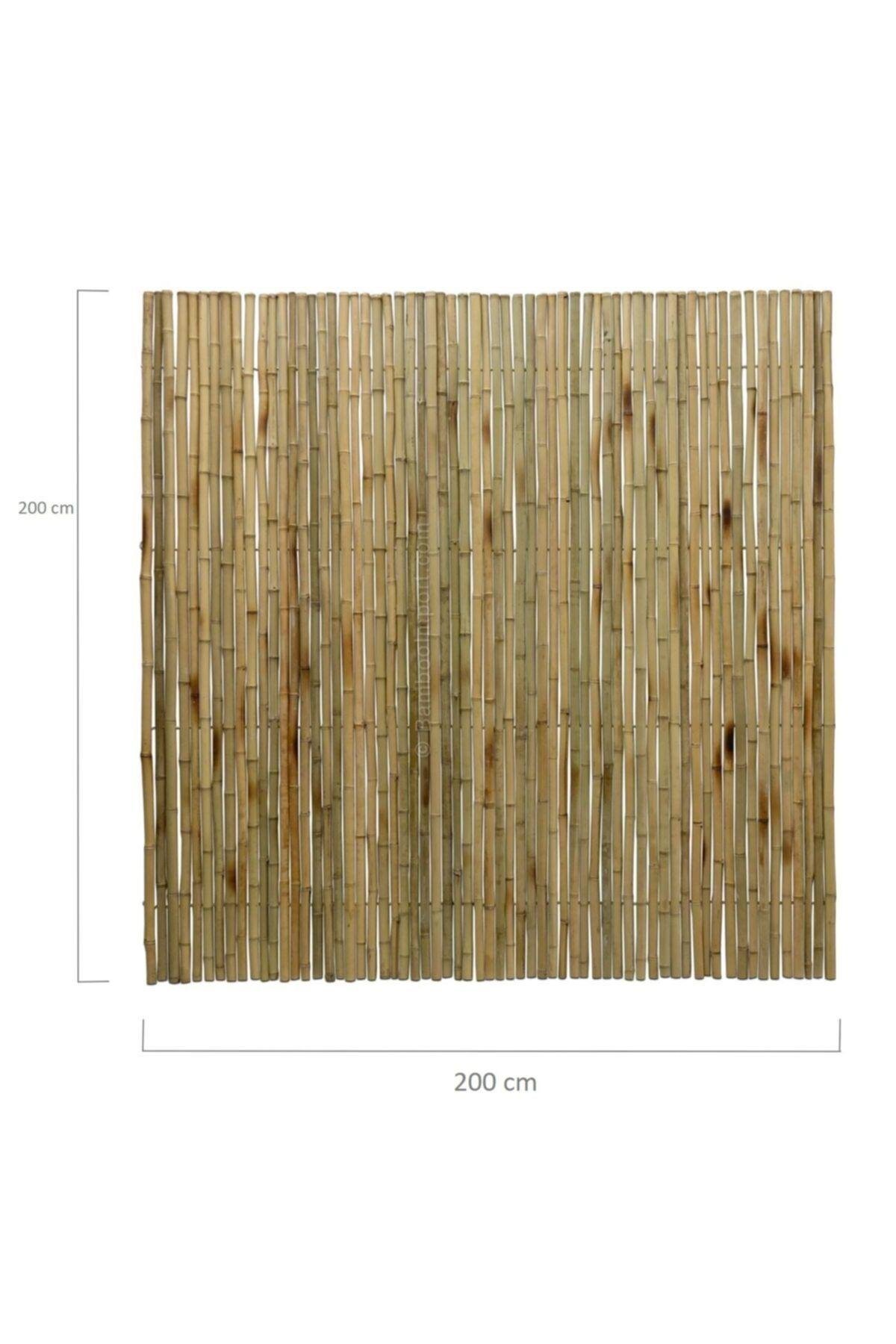 200 Cm X 200 Cm Gerçek Bambu Çit / Paravan