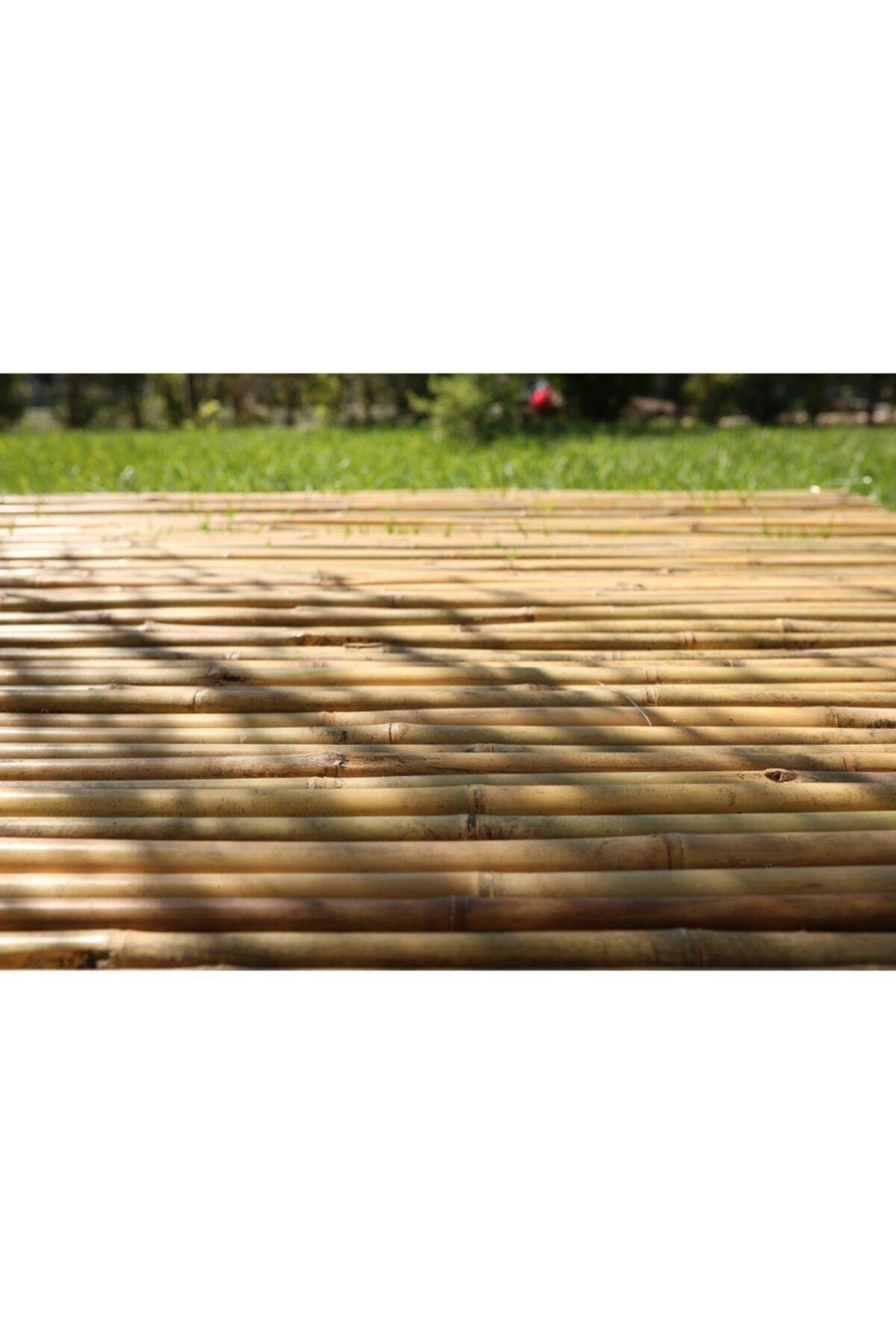 200 Cm X 200 Cm Gerçek Bambu Çit / Paravan
