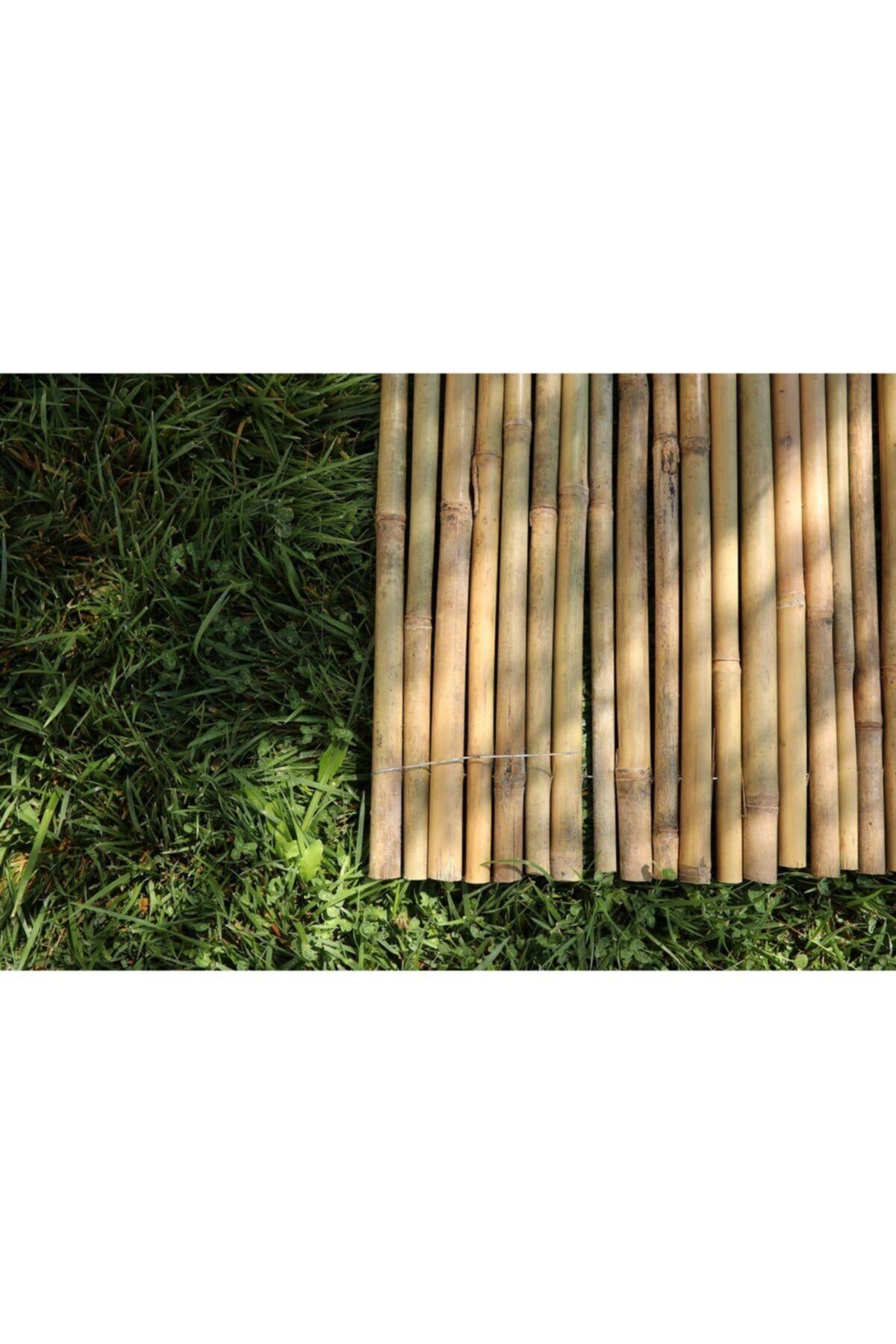 200 Cm X 200 Cm Gerçek Bambu Çit / Paravan