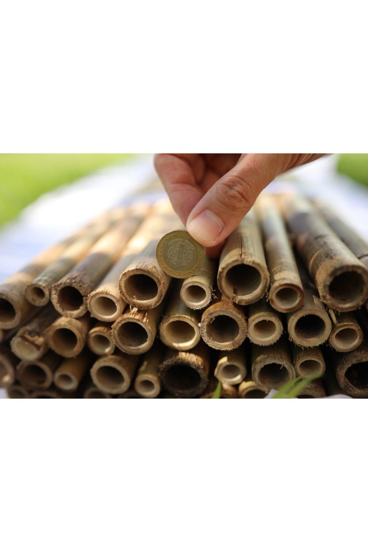 200 Cm X 200 Cm Gerçek Bambu Çit / Paravan