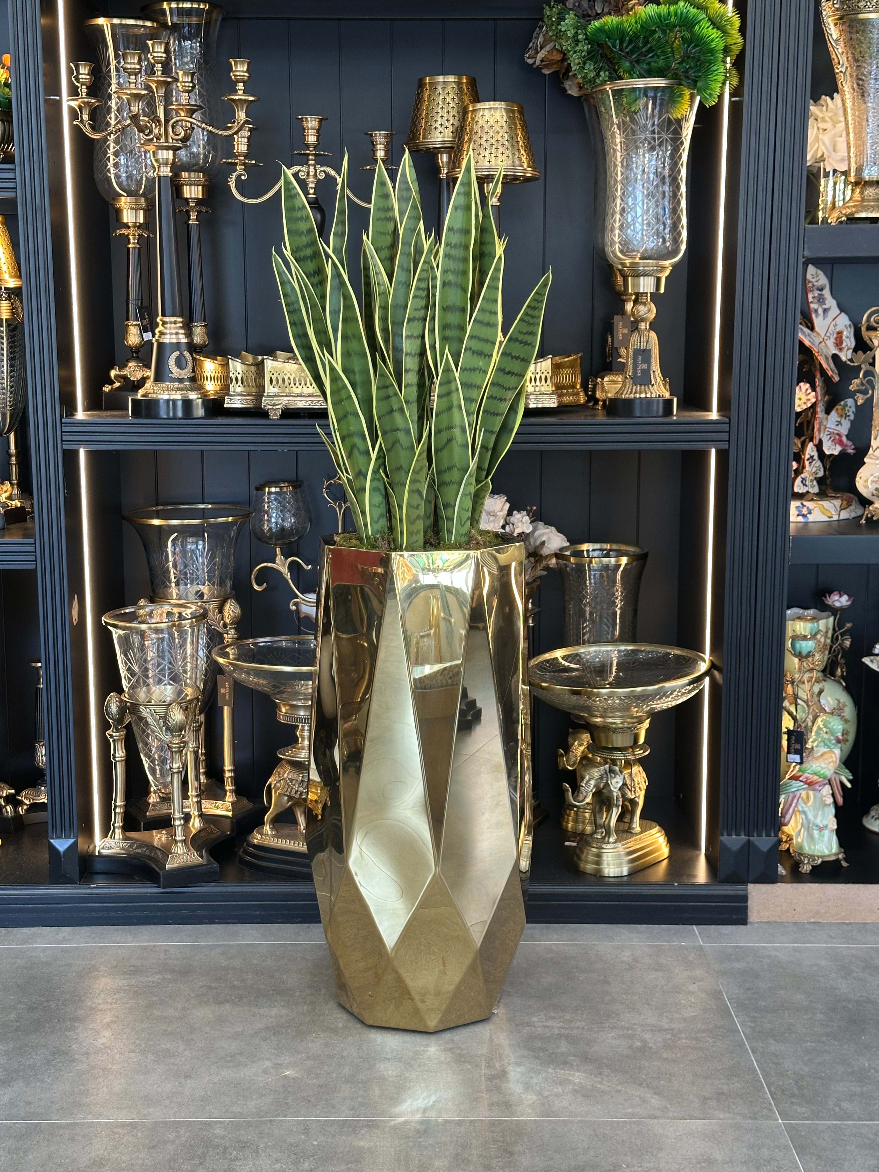 Gold Titanyum Saksı