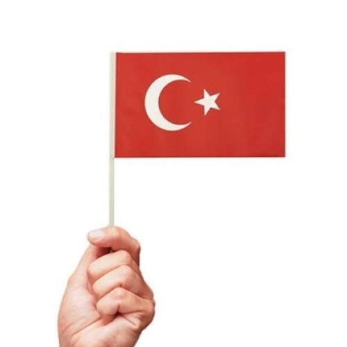 citali-bayrak-kucuk-13x20-6e0-a0.jpg