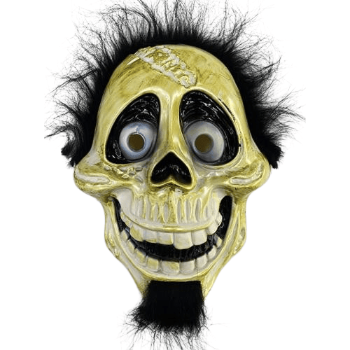 coco-hector-rivera-maskesi-25x23-cm-424808.png