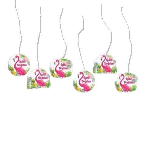 flamingo-iyi-ki-dogdun-tavan-sarkit-su-1f474-.png
