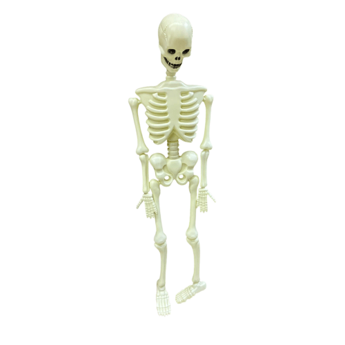 halloween-iskelet-buyuk-asmali-sus-120-abee-f.png