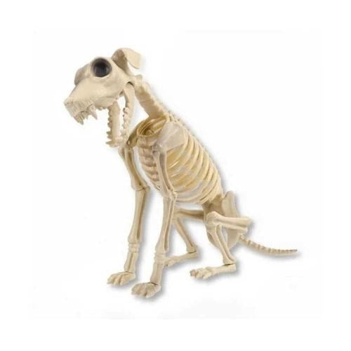 halloween-iskelet-kopek-65-cm-e4144c.jpg