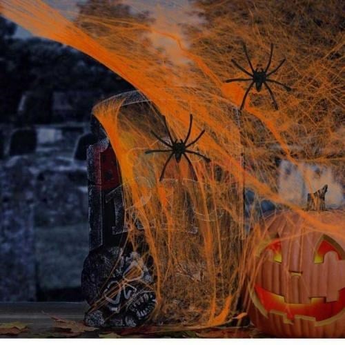 halloween-turuncu-orumcek-agi-20-gr-or-330a-4.jpg