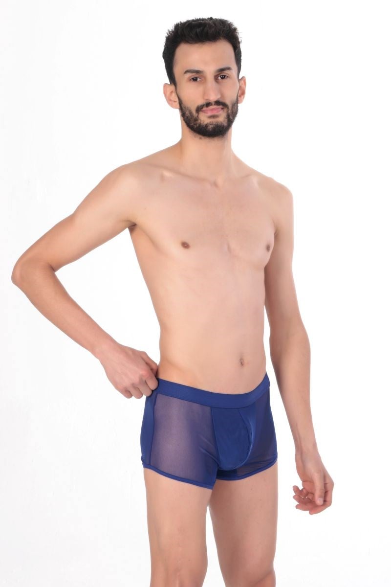 Jeu Jeu Sheer Boxer – Transparan İnce Tül Modern Erkek Boxer Saks