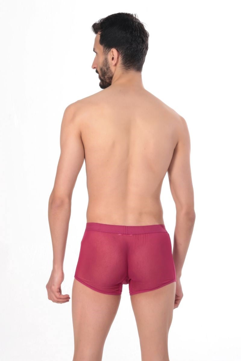 Jeu Jeu Sheer Boxer – Transparan İnce Tül Modern Erkek Boxer Fuşya