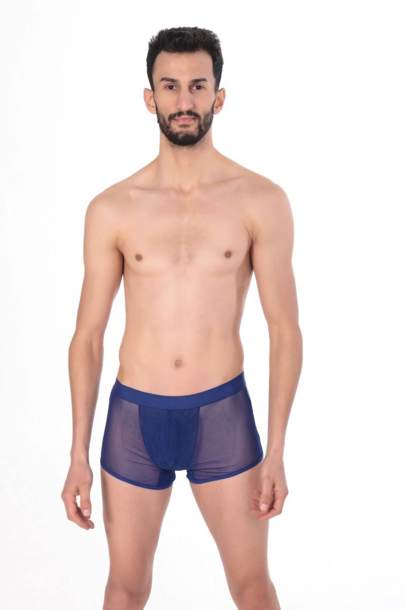 Jeu Jeu Sheer Boxer – Transparan İnce Tül Modern Erkek Boxer Saks