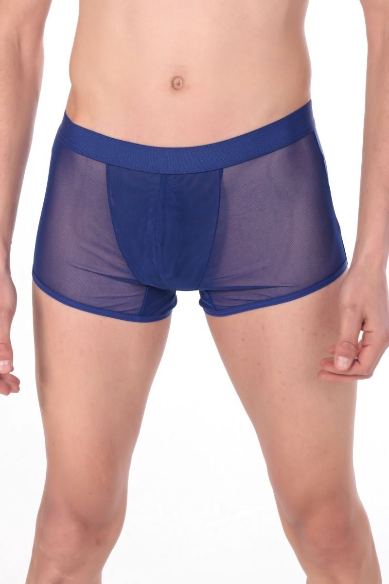 Jeu Jeu Sheer Boxer – Transparan İnce Tül Modern Erkek Boxer Saks