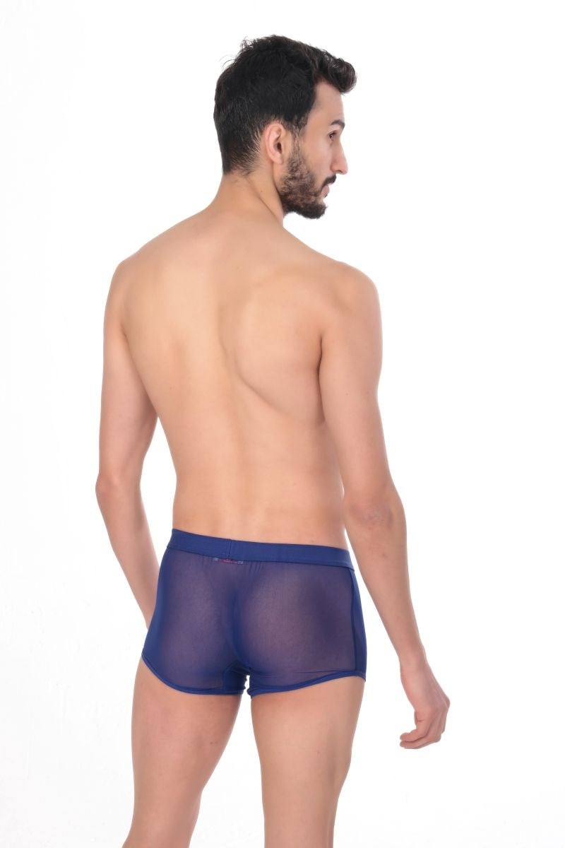 Jeu Jeu Sheer Boxer – Transparan İnce Tül Modern Erkek Boxer Saks