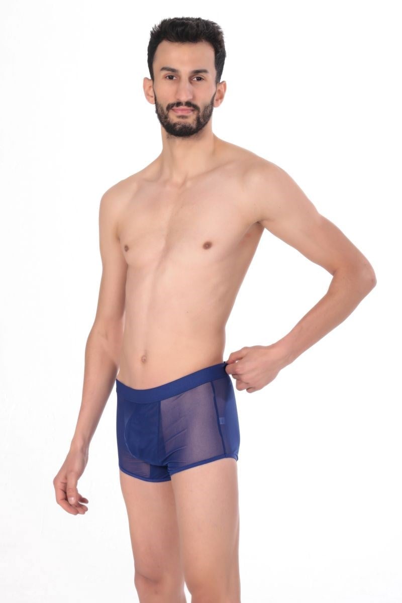 Jeu Jeu Sheer Boxer – Transparan İnce Tül Modern Erkek Boxer Saks