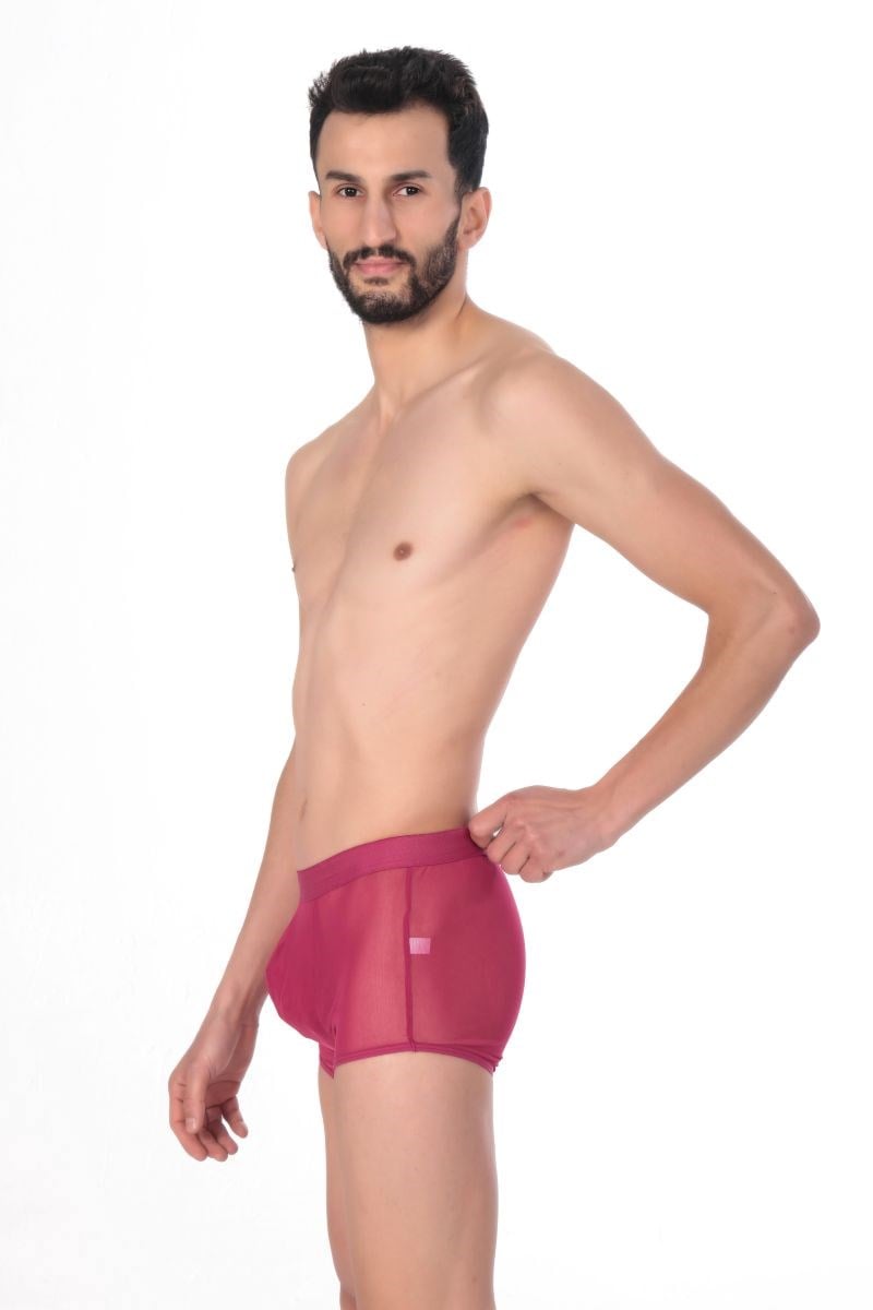 Jeu Jeu Sheer Boxer – Transparan İnce Tül Modern Erkek Boxer Fuşya