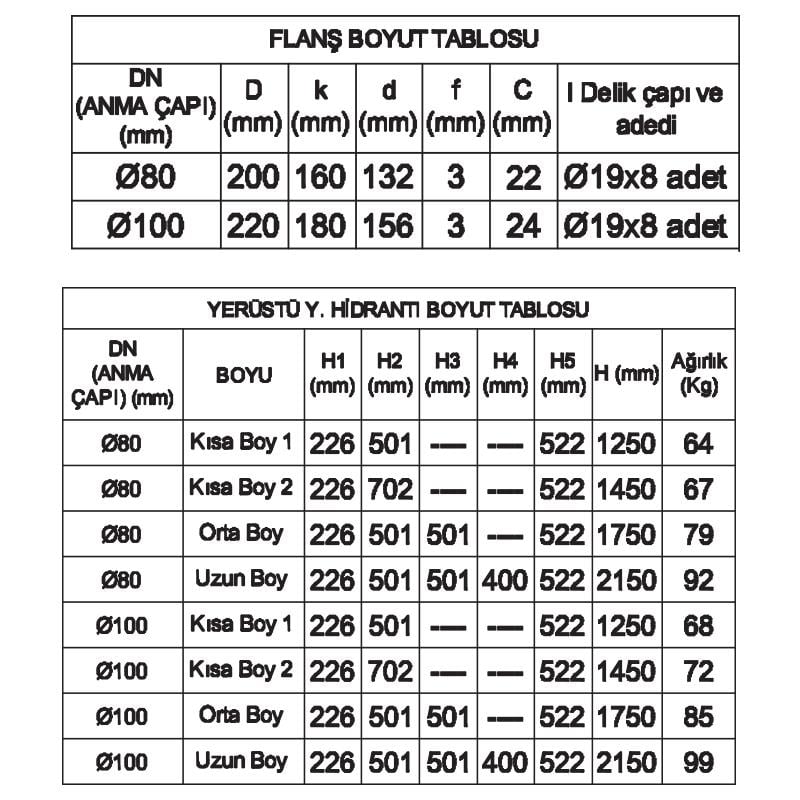 DN 100 YERUSTU YANGIN HİDRANTI PN 16