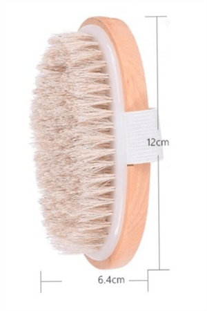 Organik Doğal At Kılı Selülit Fırçası Masaj Aleti Banyo Vucüt Fırça Peeling