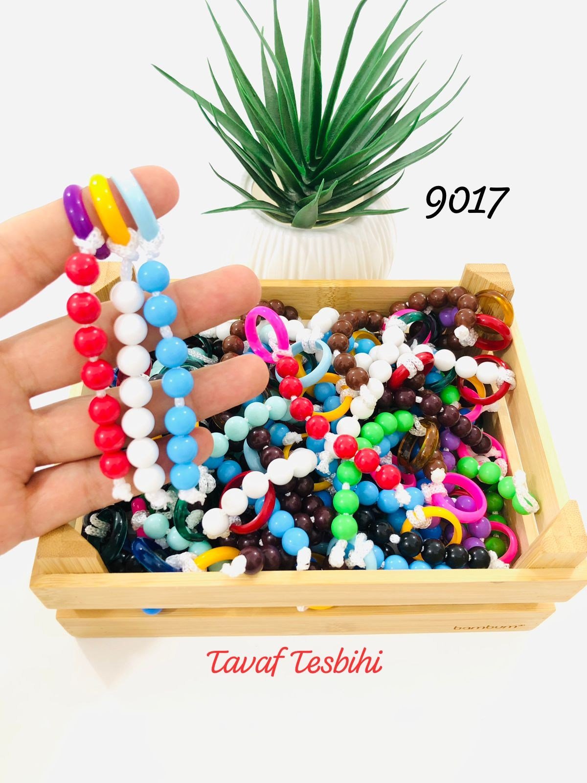 9117 Tavaf Tesbihi