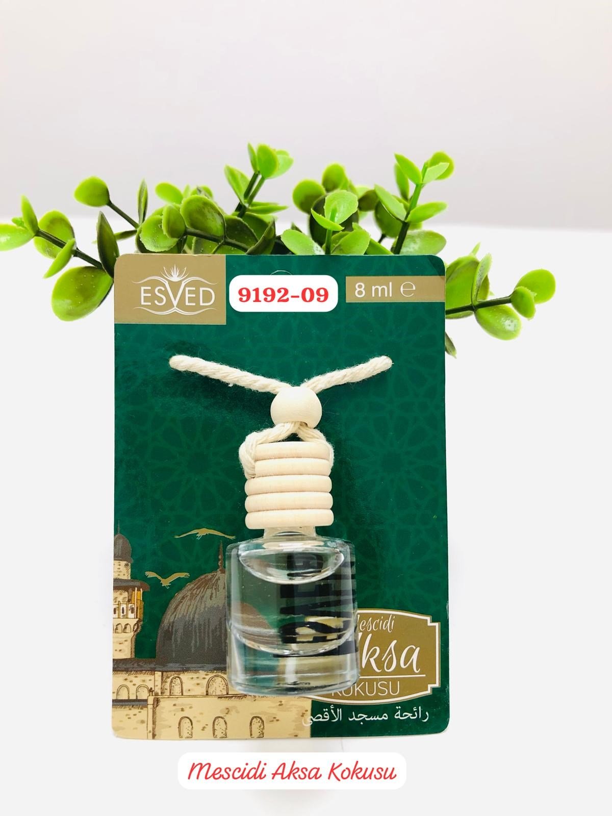 9192 Araba Kokusu