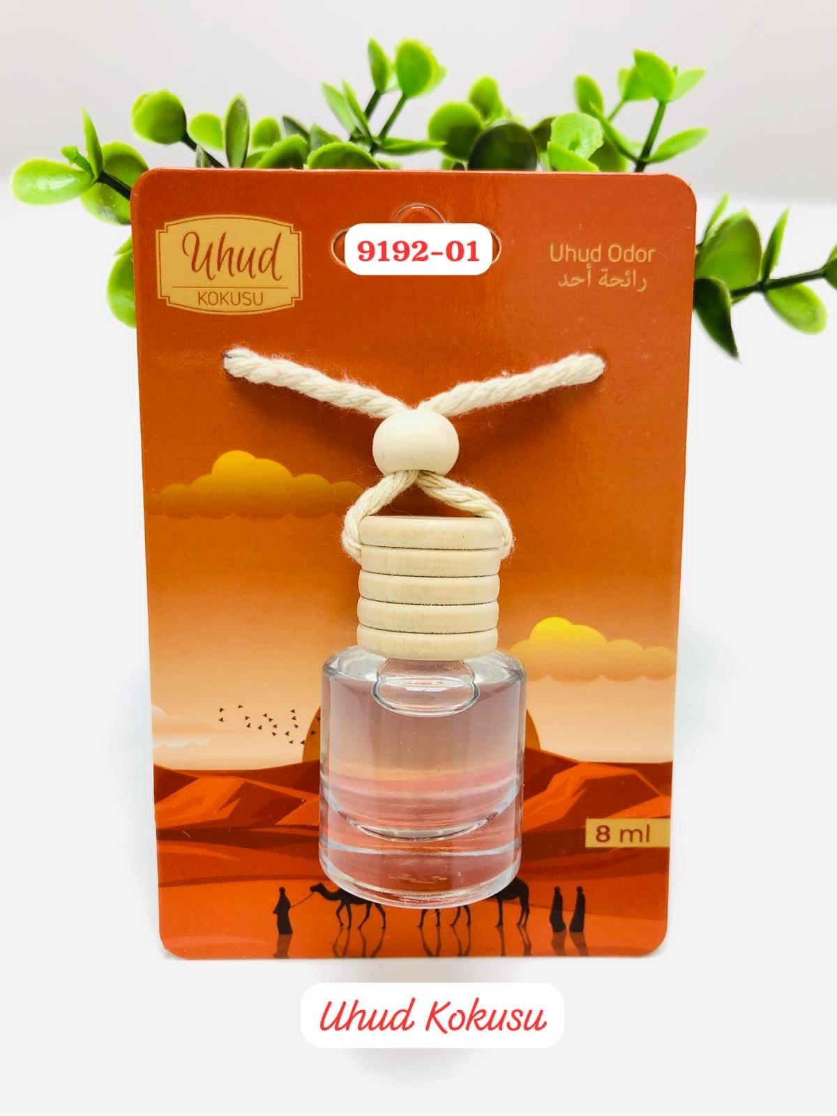 9192 Araba Kokusu