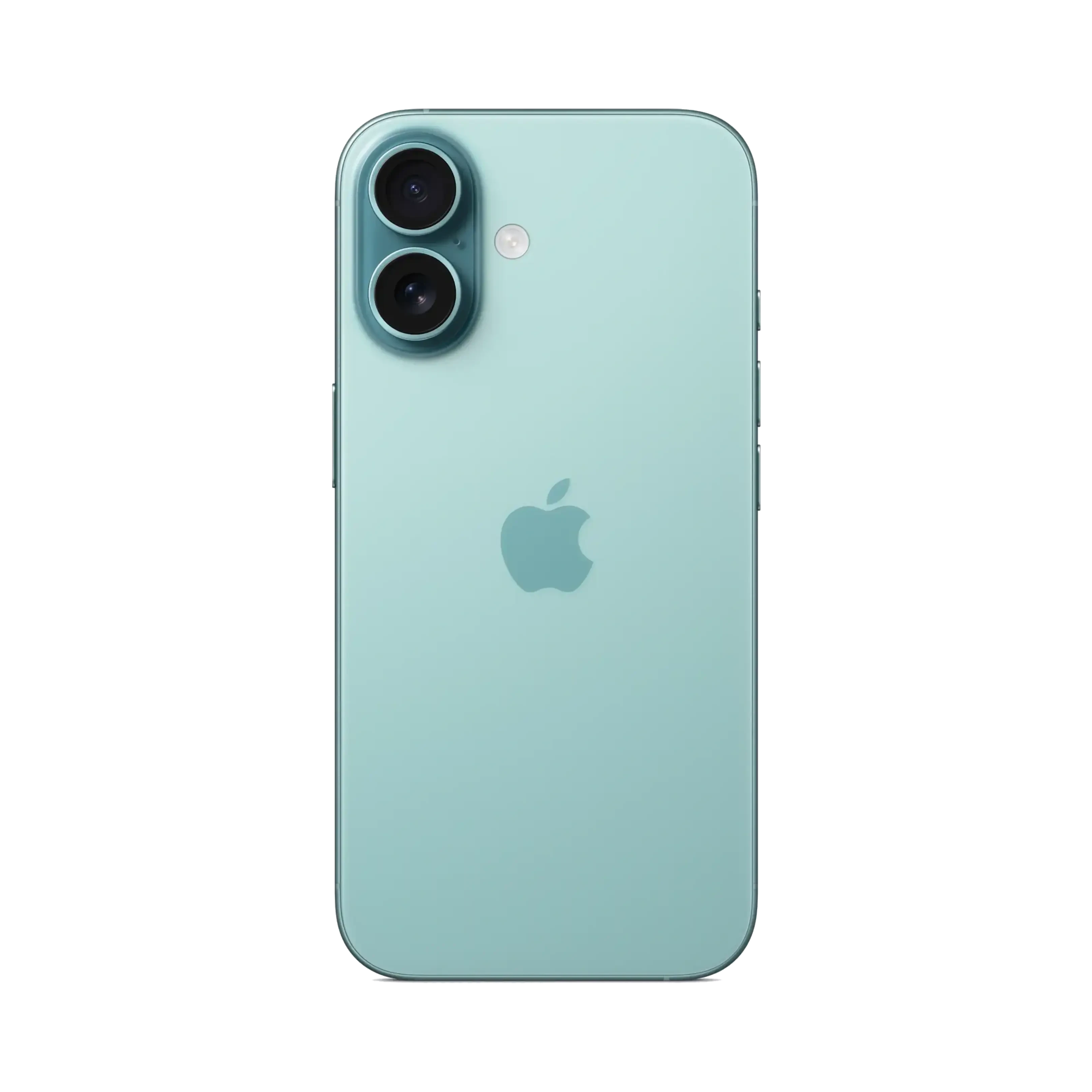 Apple iPhone 16 Plus 256 GB - Deniz Mavisi