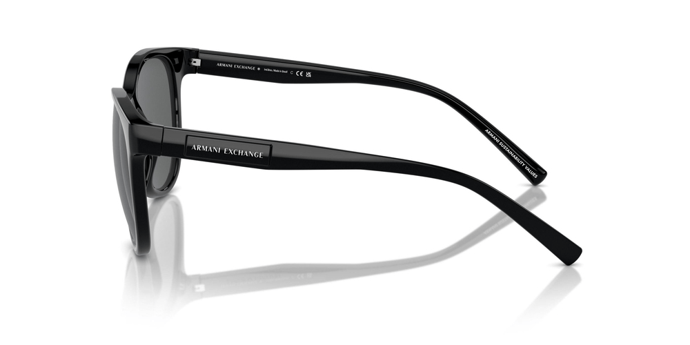 ARMANI EXCHANGE AX4144SU 815887 54-17-140 Kadın Güneş Gözlüğü