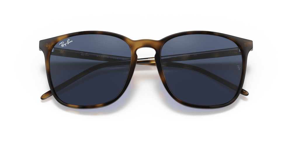 RAY-BAN RB 4387 710/80 56-18 Unisex Güneş Gözlüğü