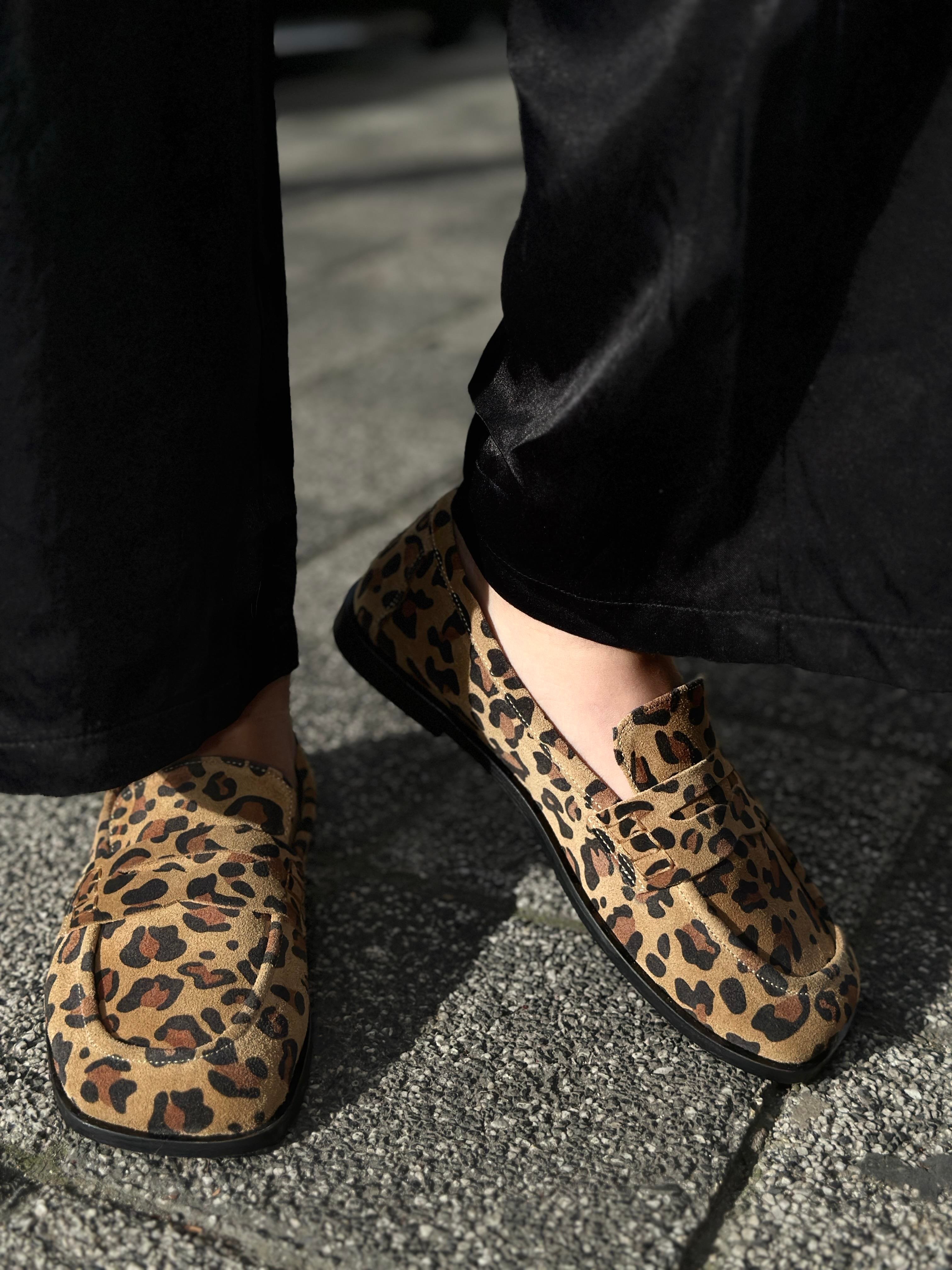 Leopar sin
