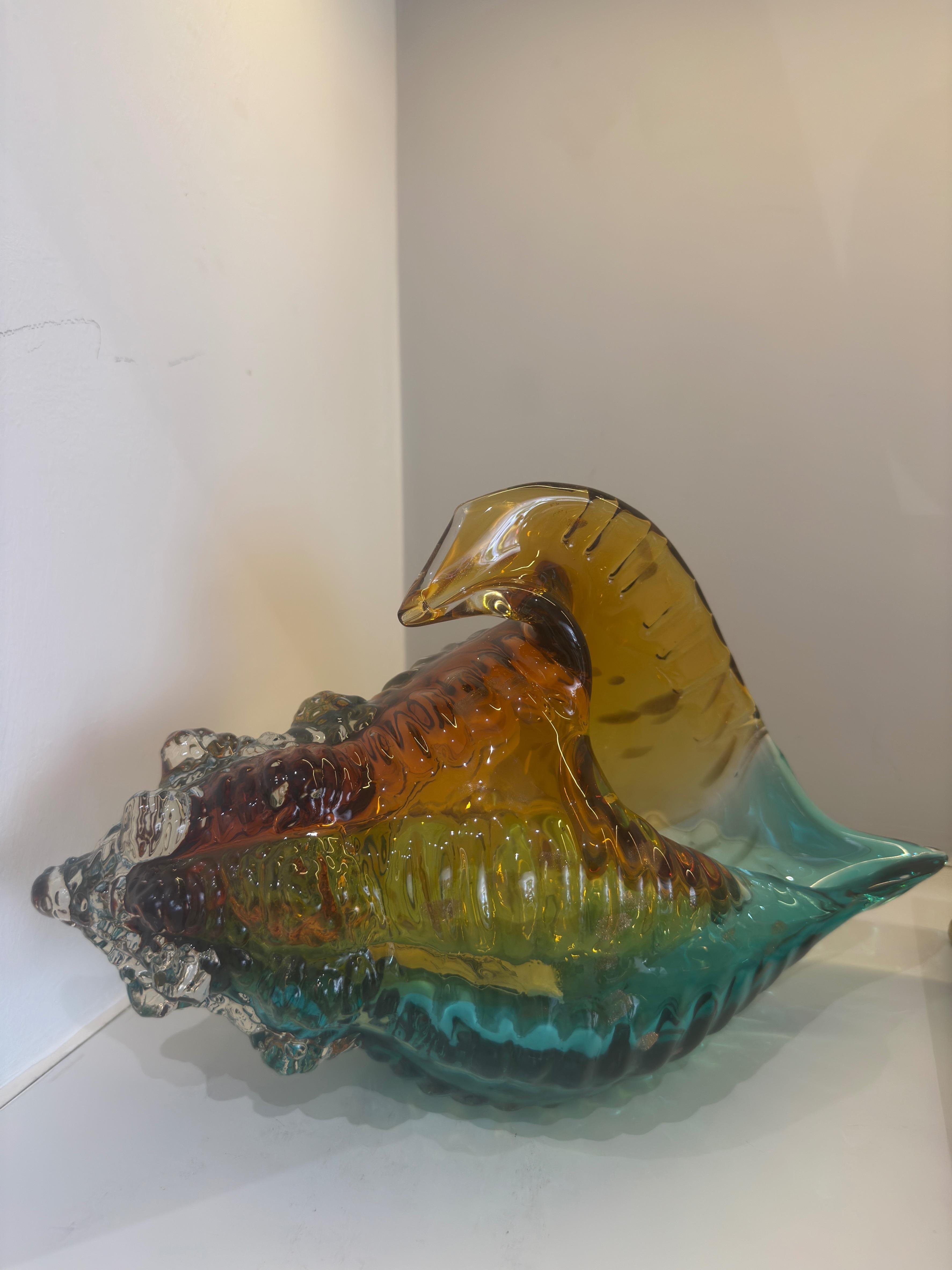 Cam Deniz Kabuğu 31*15*18 cm