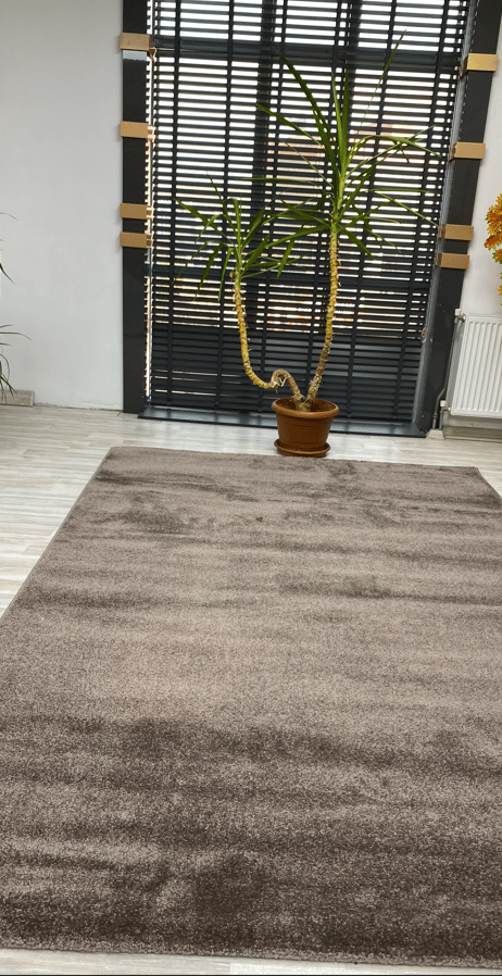 Düz Halı Vizon 200*290