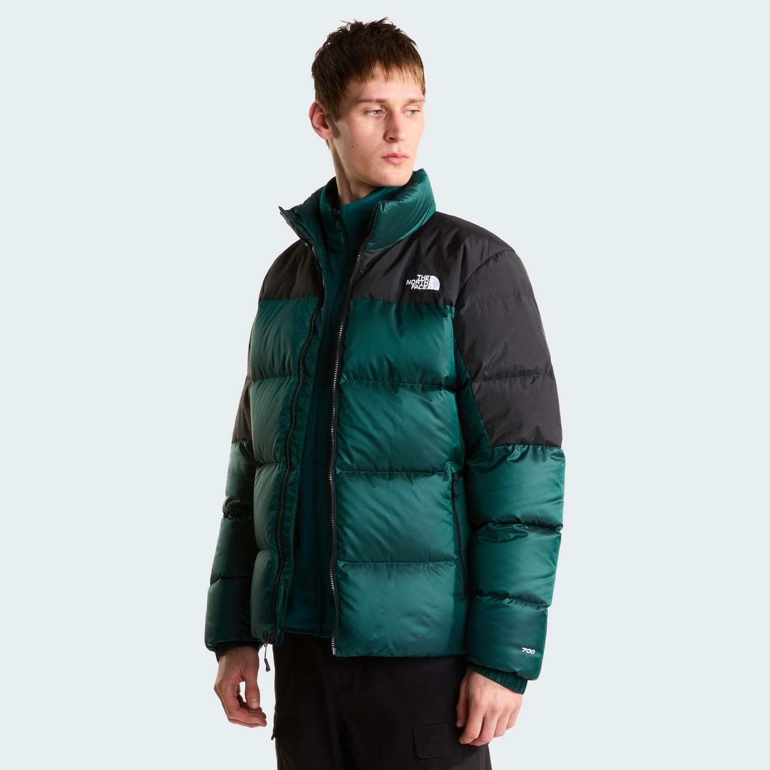 The North Face M DIABLO DOWN 2.0 JACKET Erkek Ceket NF0A8993UY61