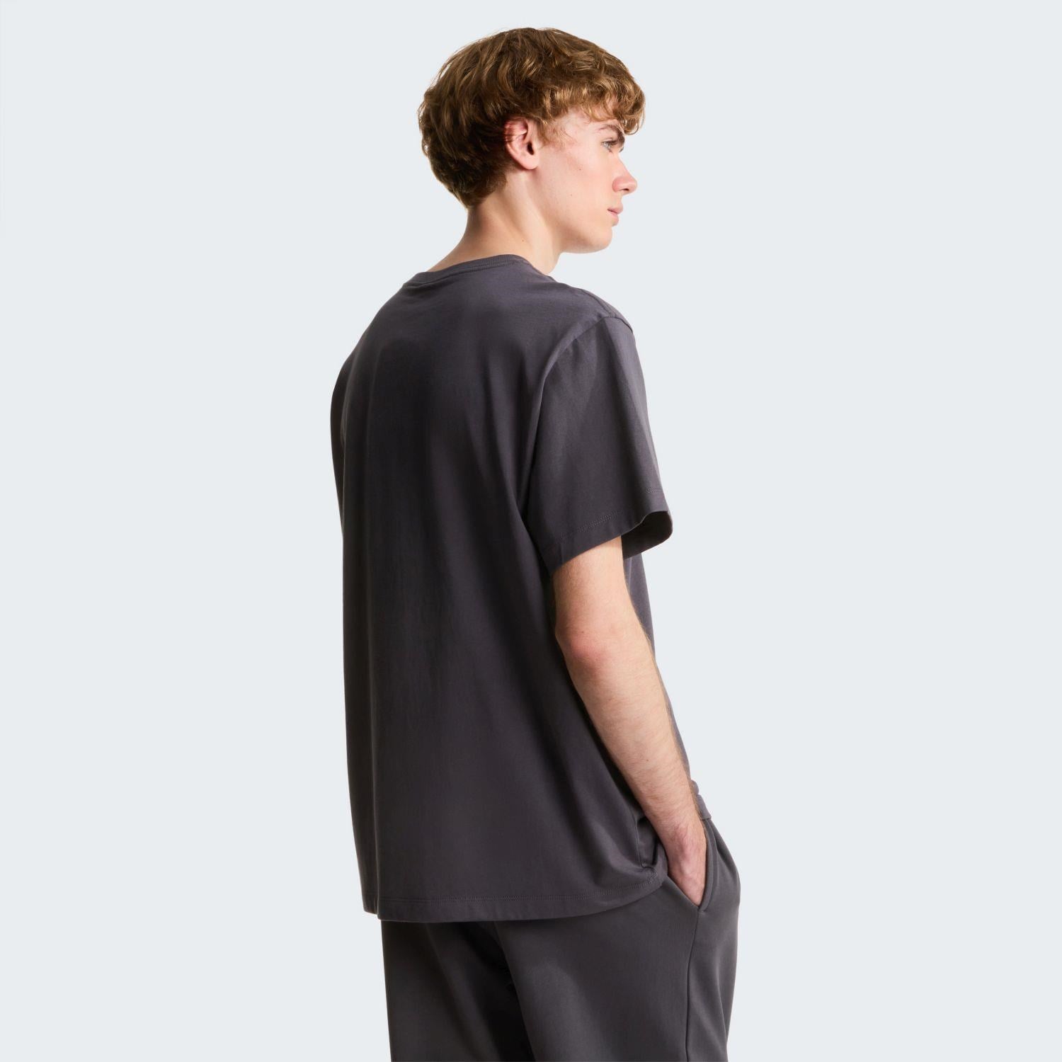 The North Face M ESSENTIAL CENTER LOGO RELAXED SHORT SL Erkek Tişört NF0A8GQERHI1