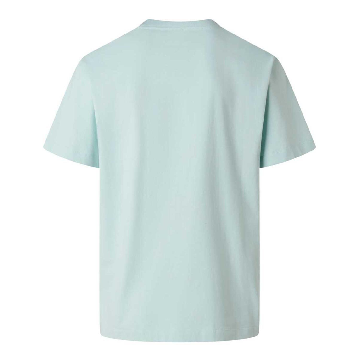 The North Face M ESSENTIAL CENTER LOGO RELAXED SHORT SL Erkek Tişört NF0A8GQEG701
