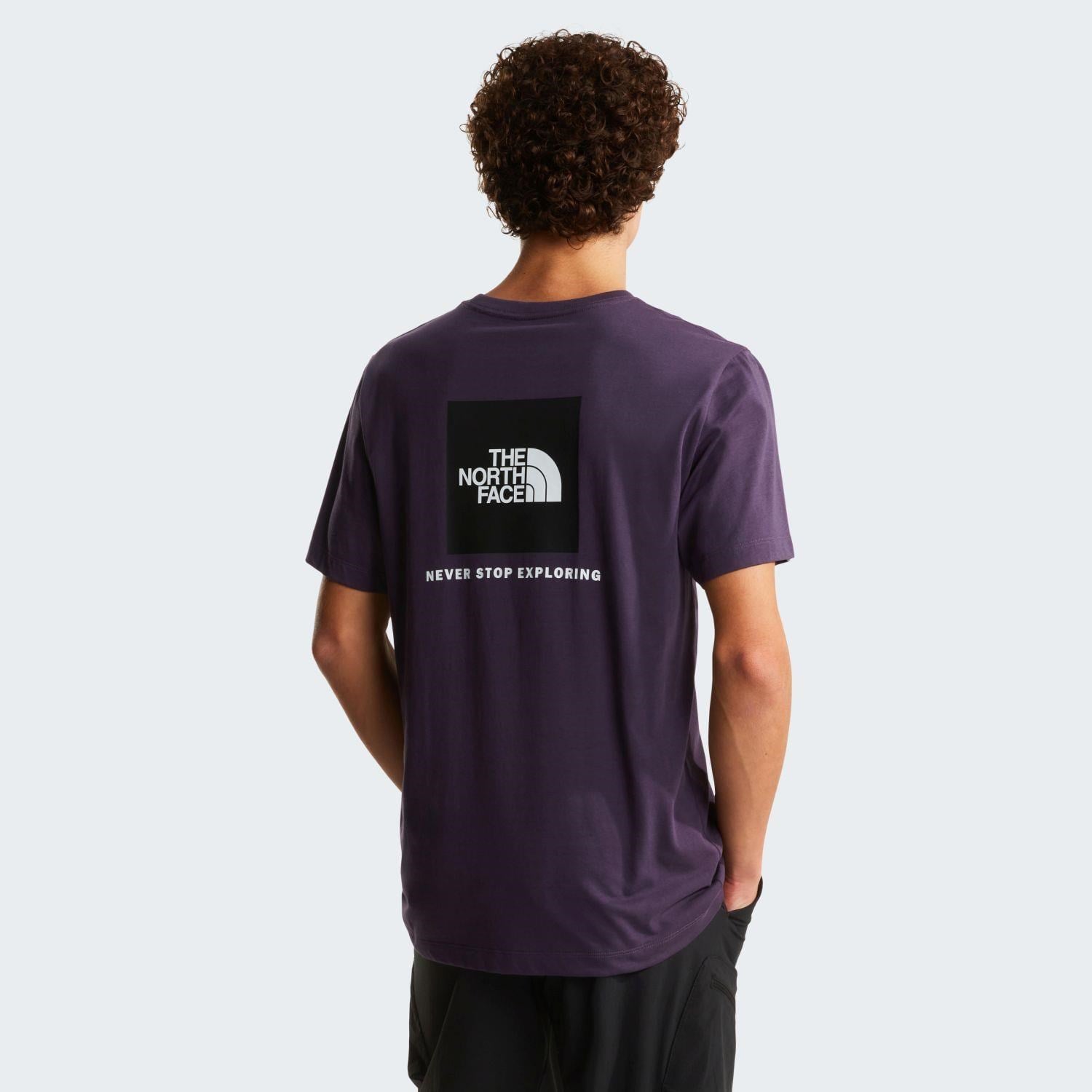 The North Face M EVOLUTION BOX NSE REGULAR SHORT SLEEVE Erkek Tişört NF0A8B6KG5O1