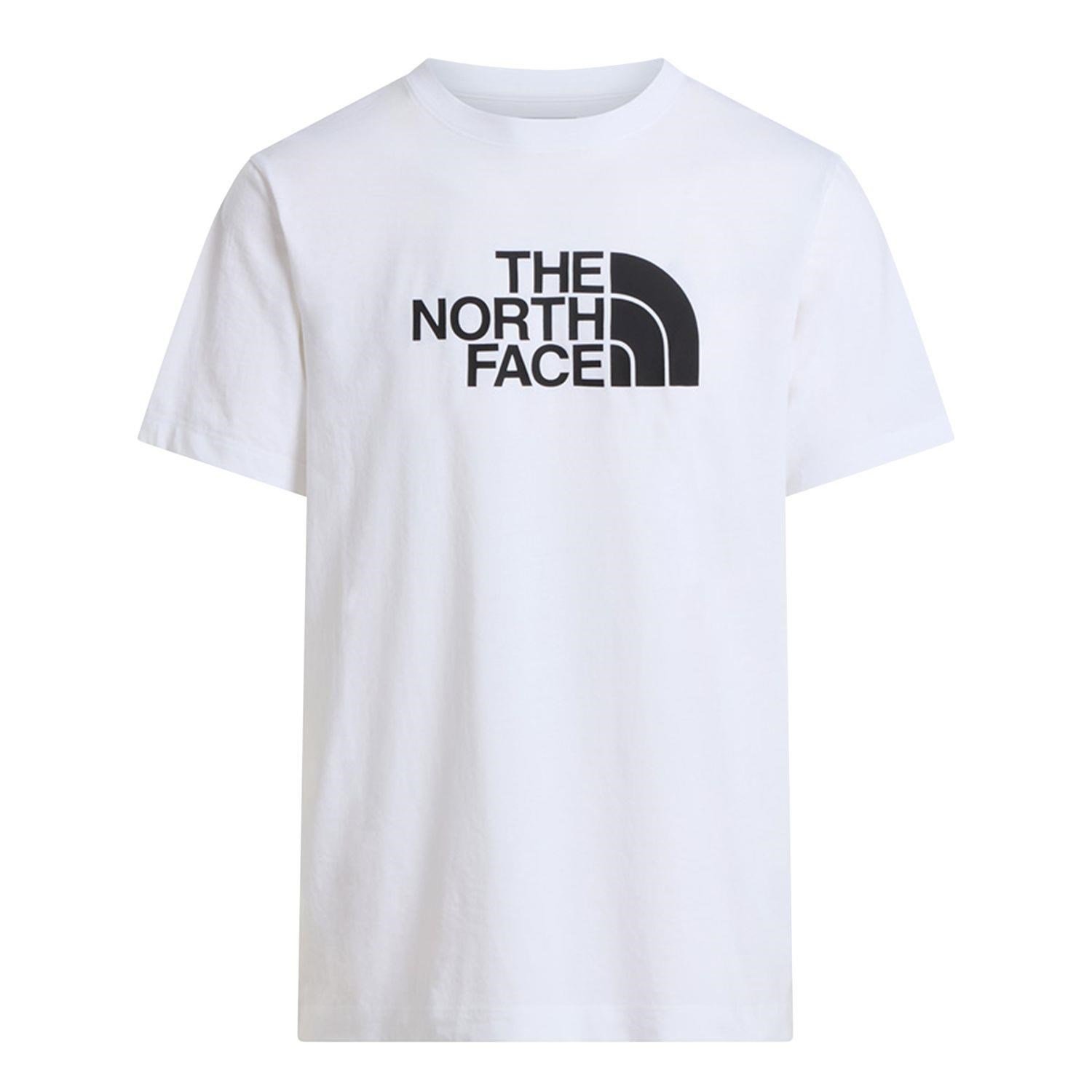 The North Face M EVOLUTION HALF DOME REGULAR SHORT SLEE Erkek Tişört NF0A8B6JLA91