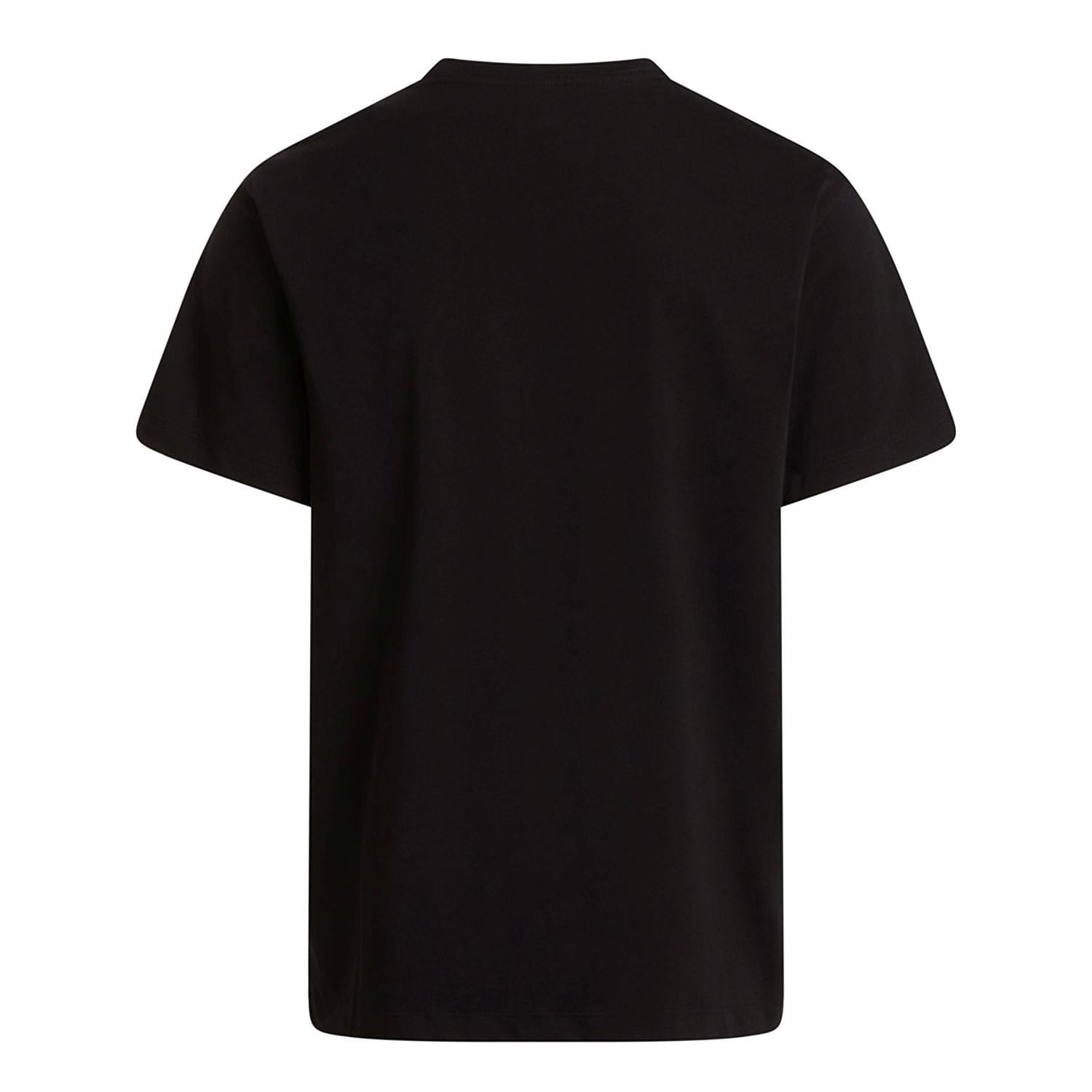 The North Face M EVOLUTION SIMPLE DOME REGULAR Erkek Tişört NF0A8CZ2JK31
