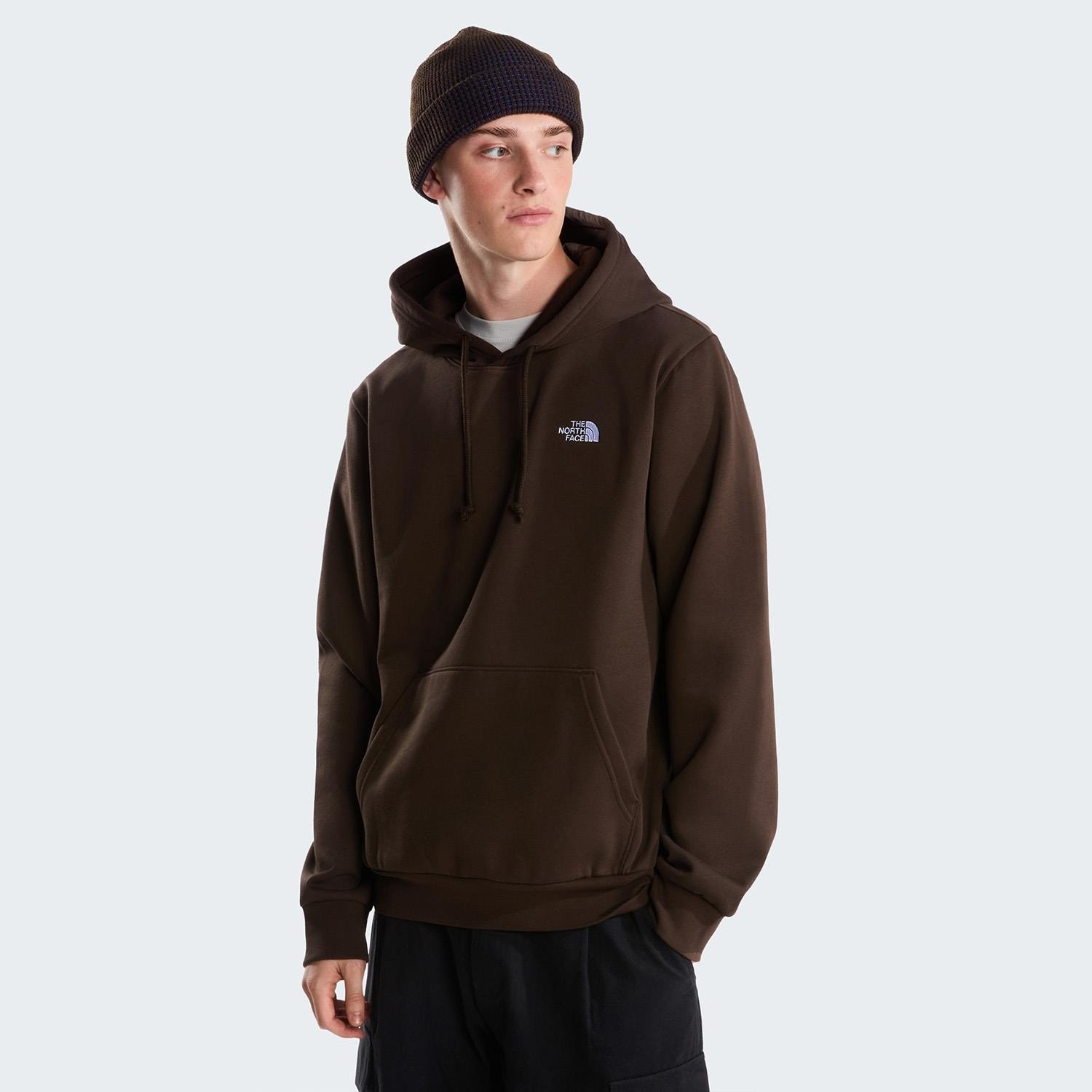 The North Face M EVOLUTION SIMPLE DOME REGULAR HOODIE Erkek Sweatshirt NF0A8CWMNMF1
