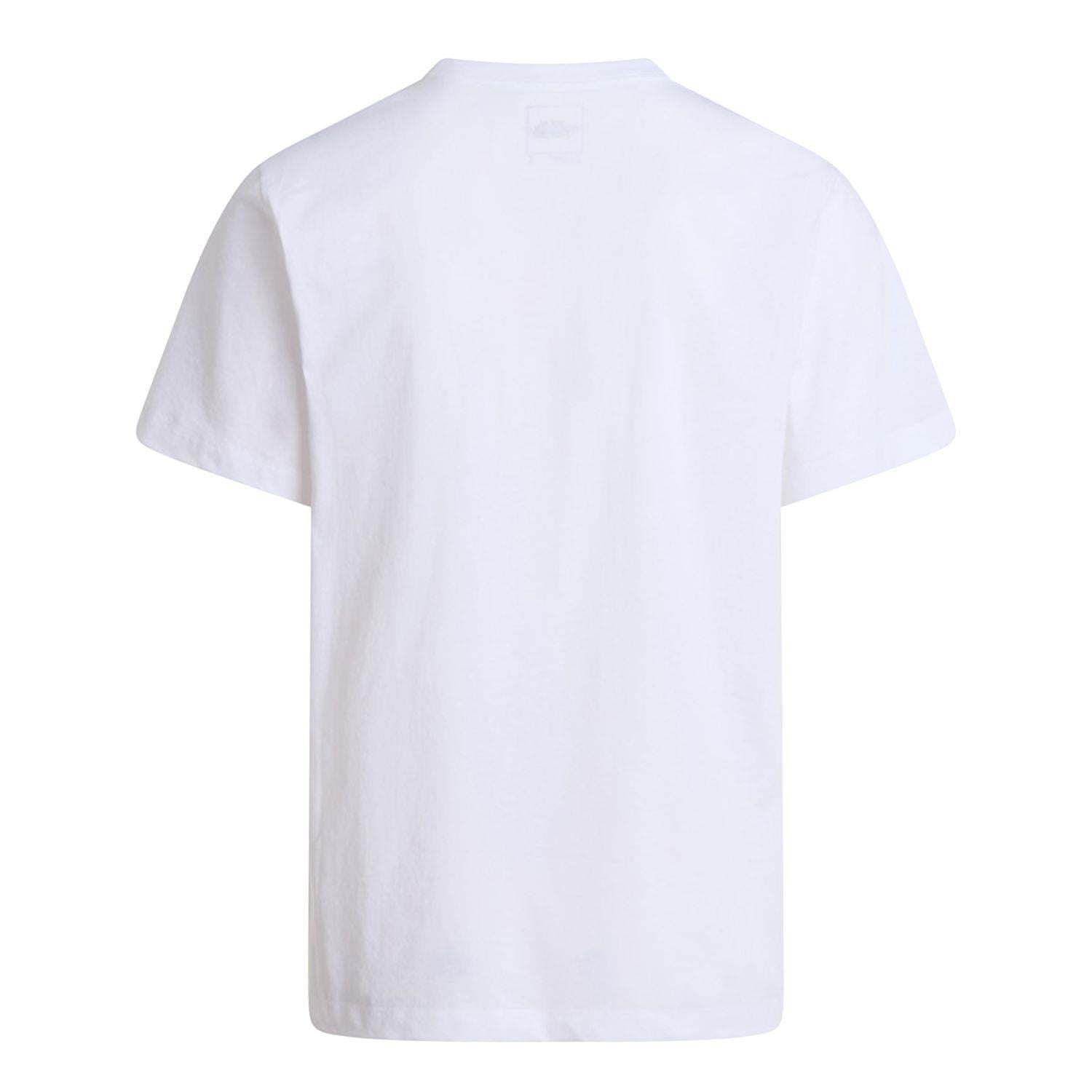 The North Face M EVOLUTION SIMPLE DOME REGULAR  Erkek Tişört NF0A8CZ2FN41