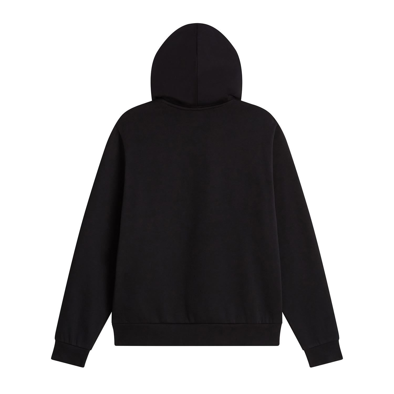 The North Face W EVOLUTION SIMPLE DOME REGULAR HOODIE Kadın Sweatshirt NF0A8CWNJK31