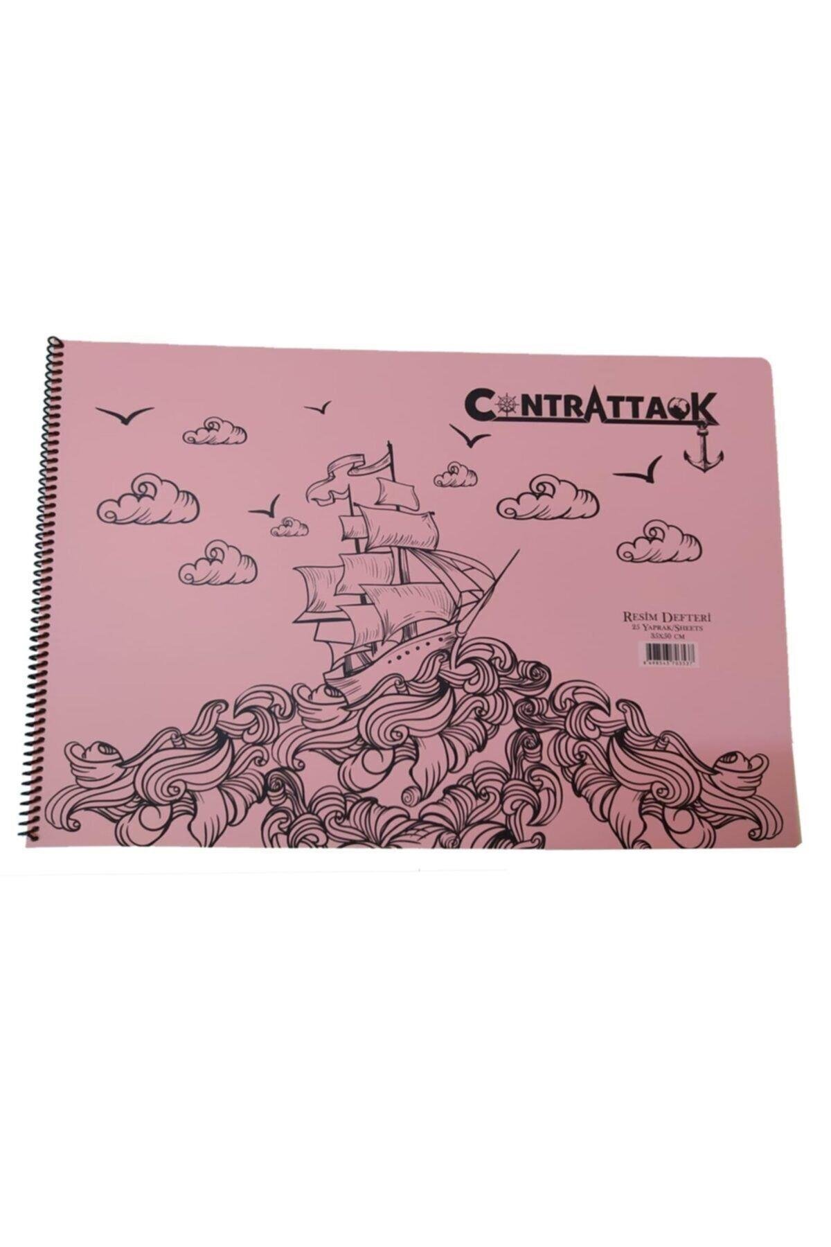 3 Adet Plastik Kapak Spiralli Resim Defteri 35 X 50 Cm 25 Yaprak
