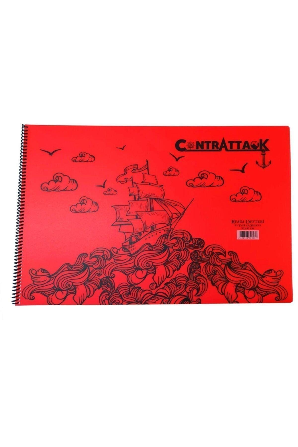 3 Adet Plastik Kapak Spiralli Resim Defteri 35 X 50 Cm 25 Yaprak
