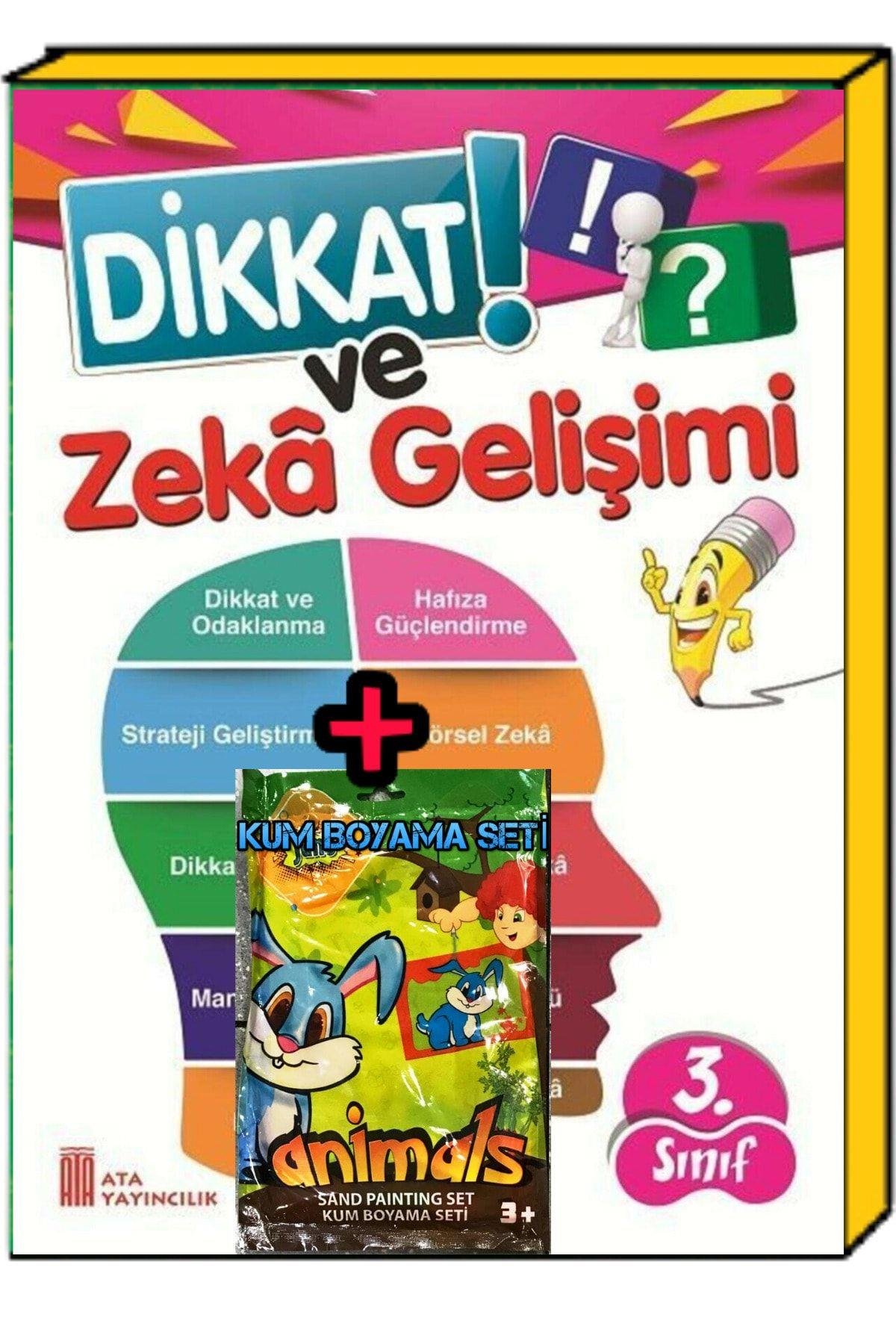 3.sınıf Dikkat Ve Zeka Gelişimi