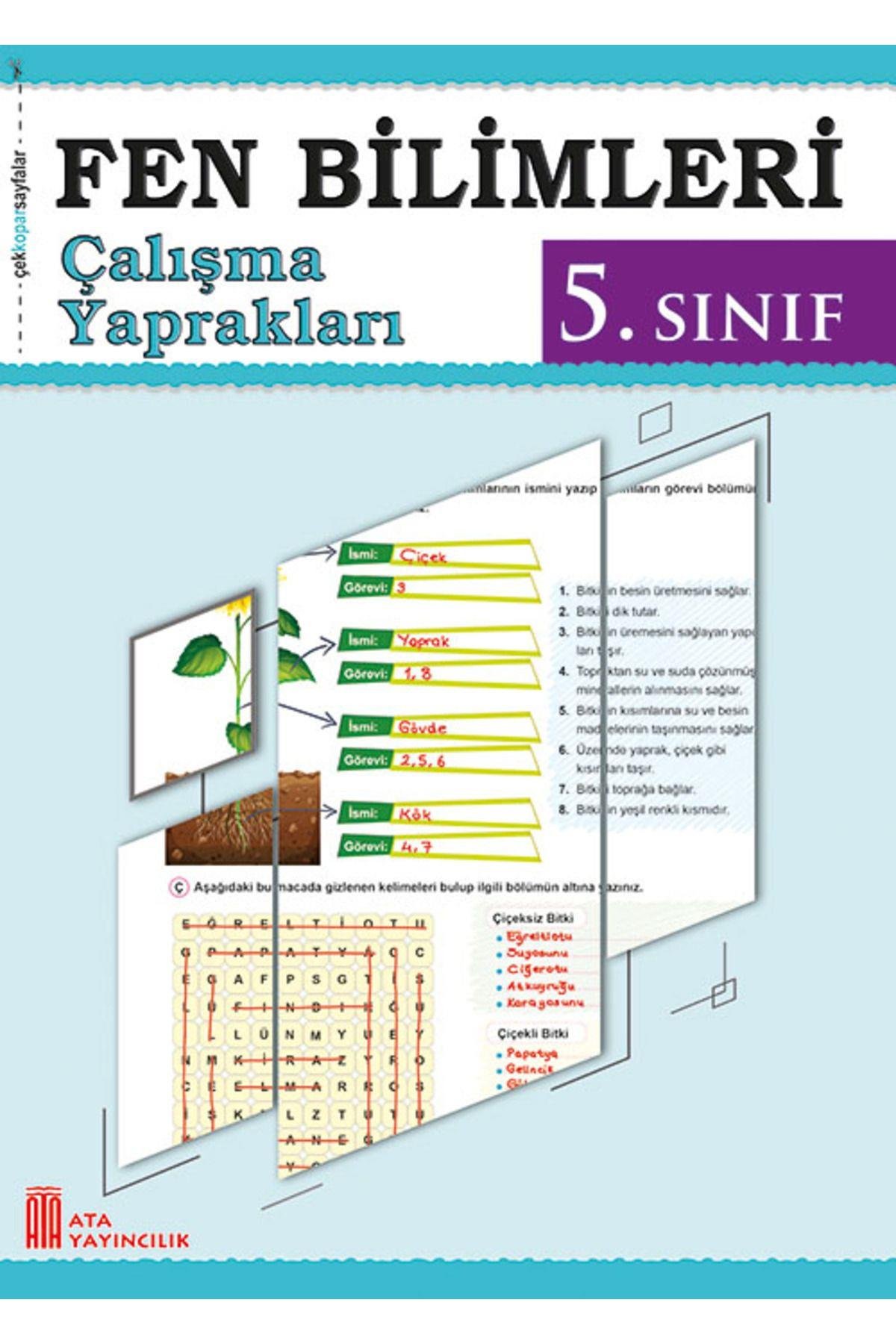 5. Sınıf Fen Bilimleri Süper Set