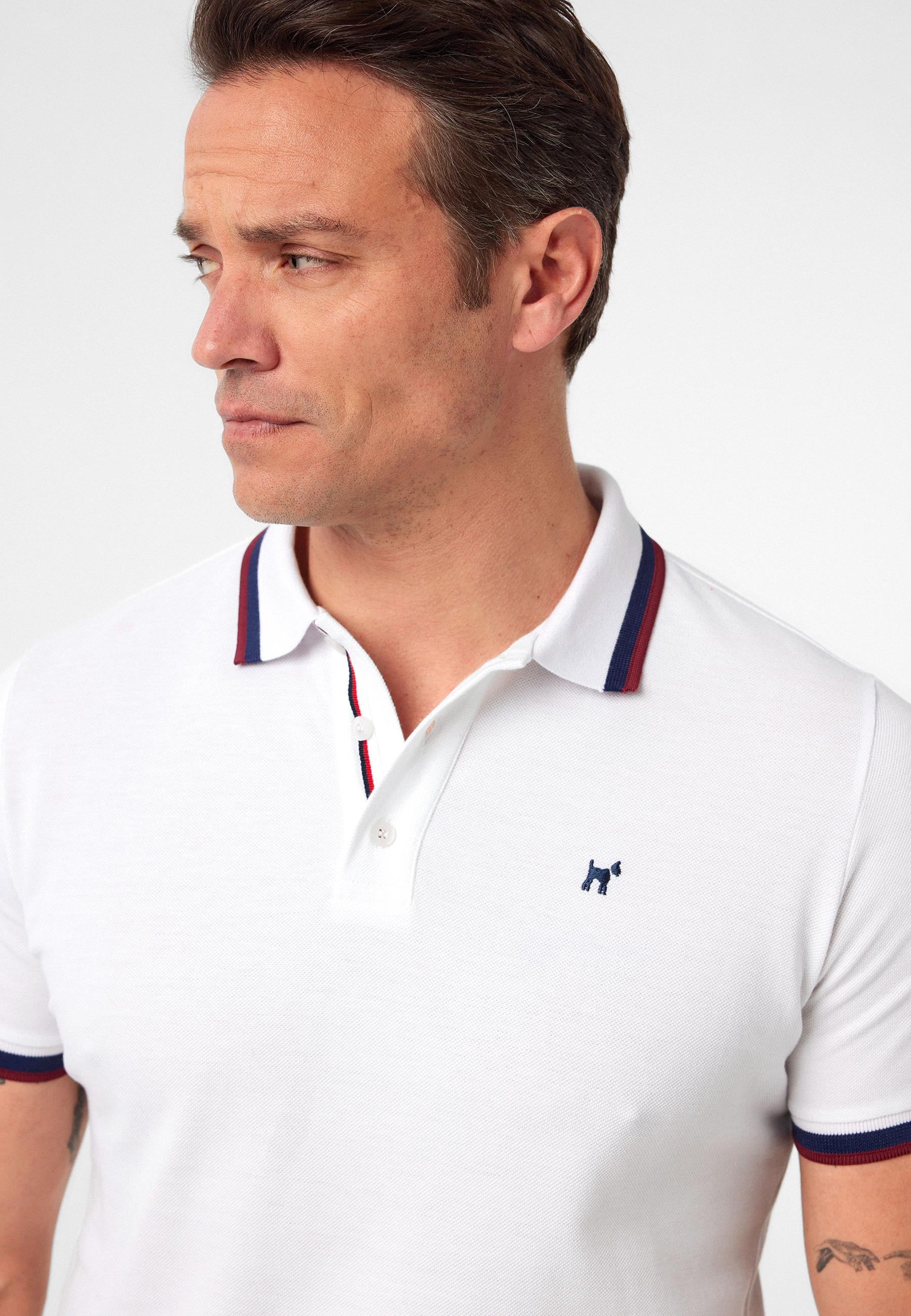 Javeir Erkek Regular Fit Çizgi Detaylı Polo Yaka T-Shirt