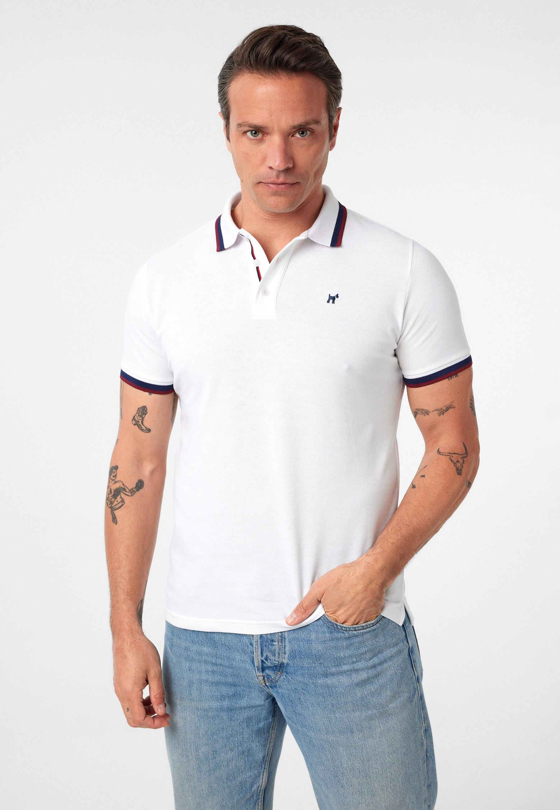 Javeir Erkek Regular Fit Çizgi Detaylı Polo Yaka T-Shirt