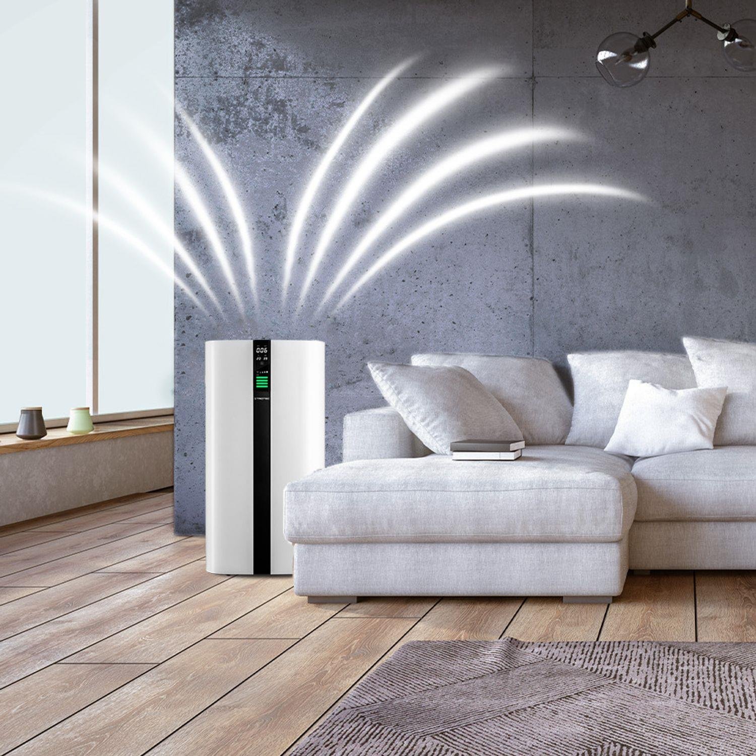 AirgoClean® 350 E