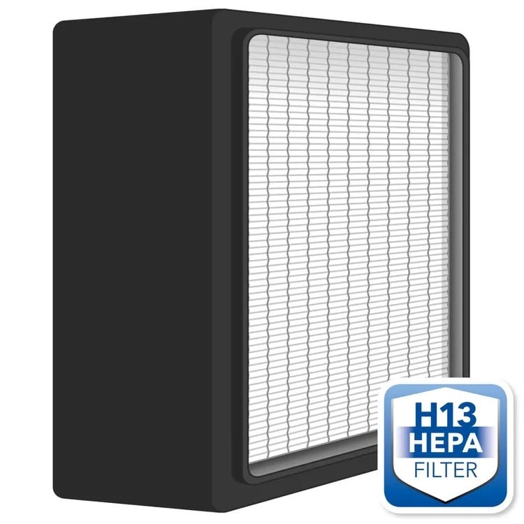 HEPA Filtre H13 AirgoClean® One