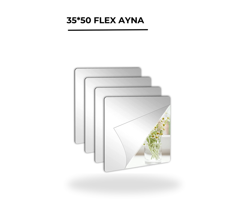 Turna Pleksi Ayna 35x50 cm